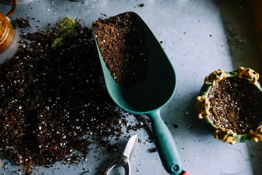 Mixing used coffee grounds to other organic matters for plants.