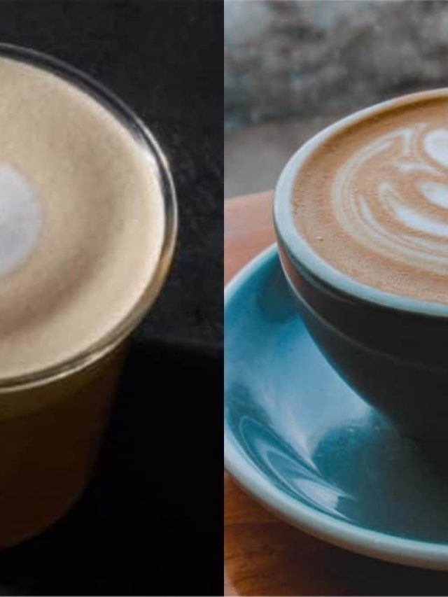 Cappuccino VS Latte (What’s The Difference?)