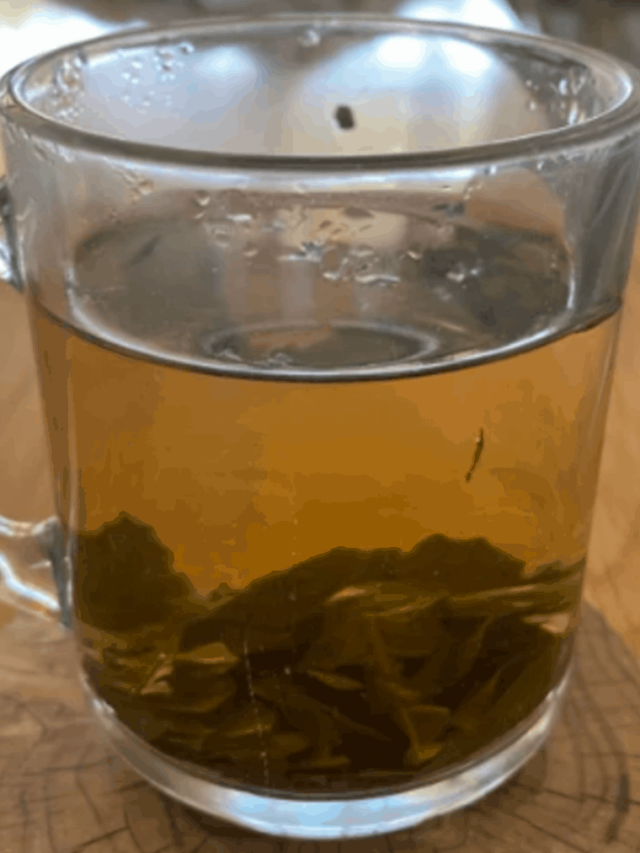Everything About Coffee Leaf Tea