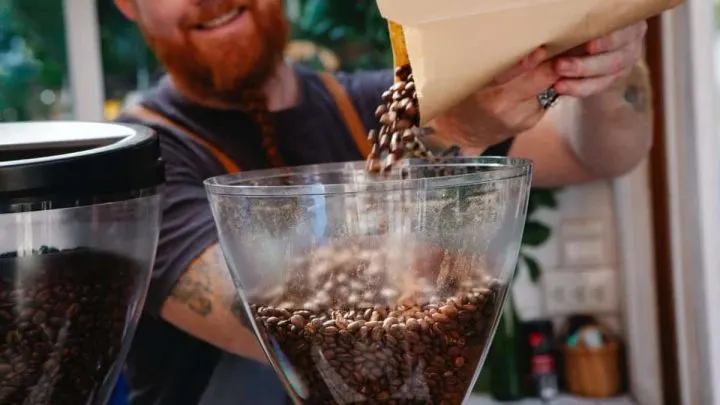 Coffee shop barista grinding coffee using conical burr grinder