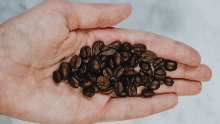 Coffee beans on a palm