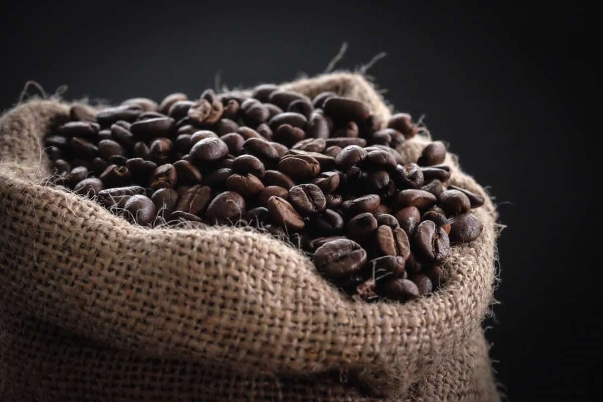 coffee beans in a sack