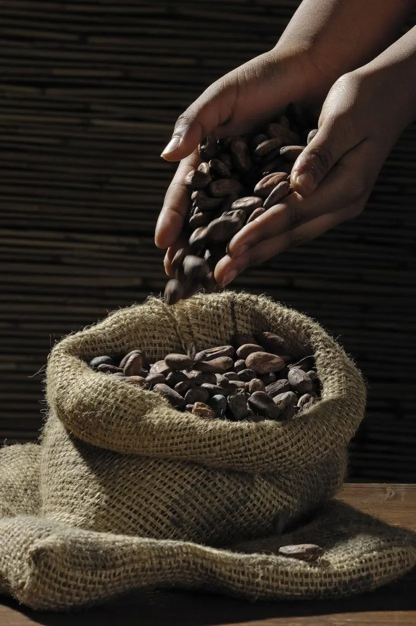 a bag of roasted coffee beans and someone is pouring them from her hands. 