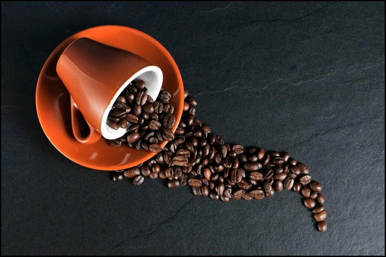 a spilled cup of coffee beans