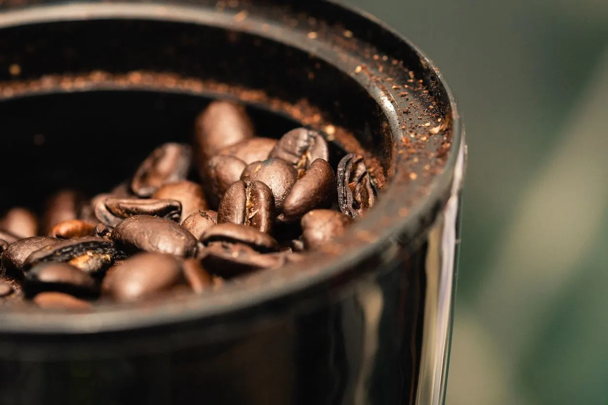 coffee beans inside a grinder