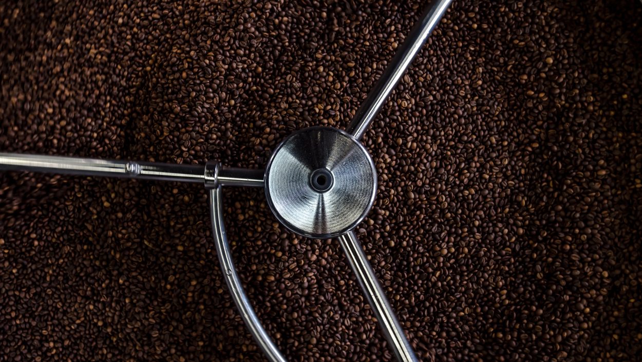 coffee beans inside a grinder
