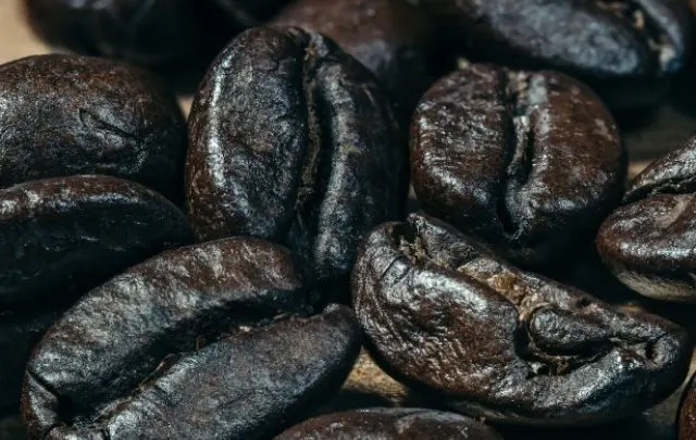 cropped-Dark-roast-coffee-bean-01-1250x821-2.jpg