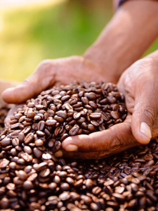 Comparing Direct Trade And Fair Trade Coffee