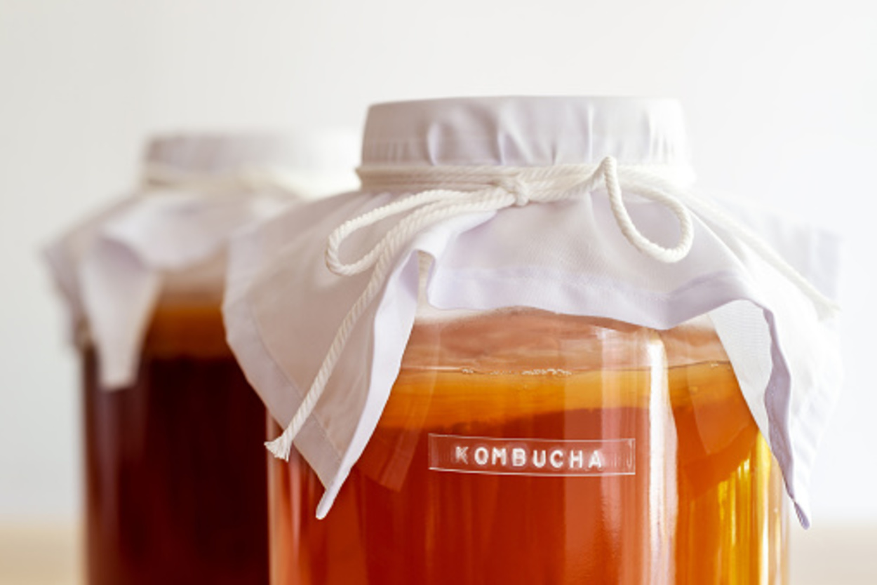 Two cups of Kombucha are fermenting.