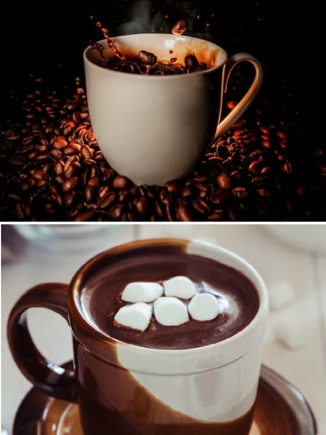 Compare and Contrast: Coffee and Hot Chocolate