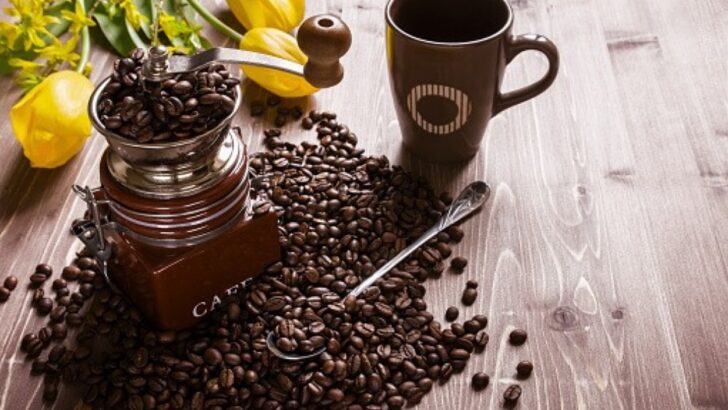 Coffee Mug Warmer (The Best Ones)