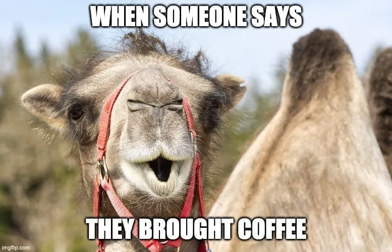 Coffee on Wednesday