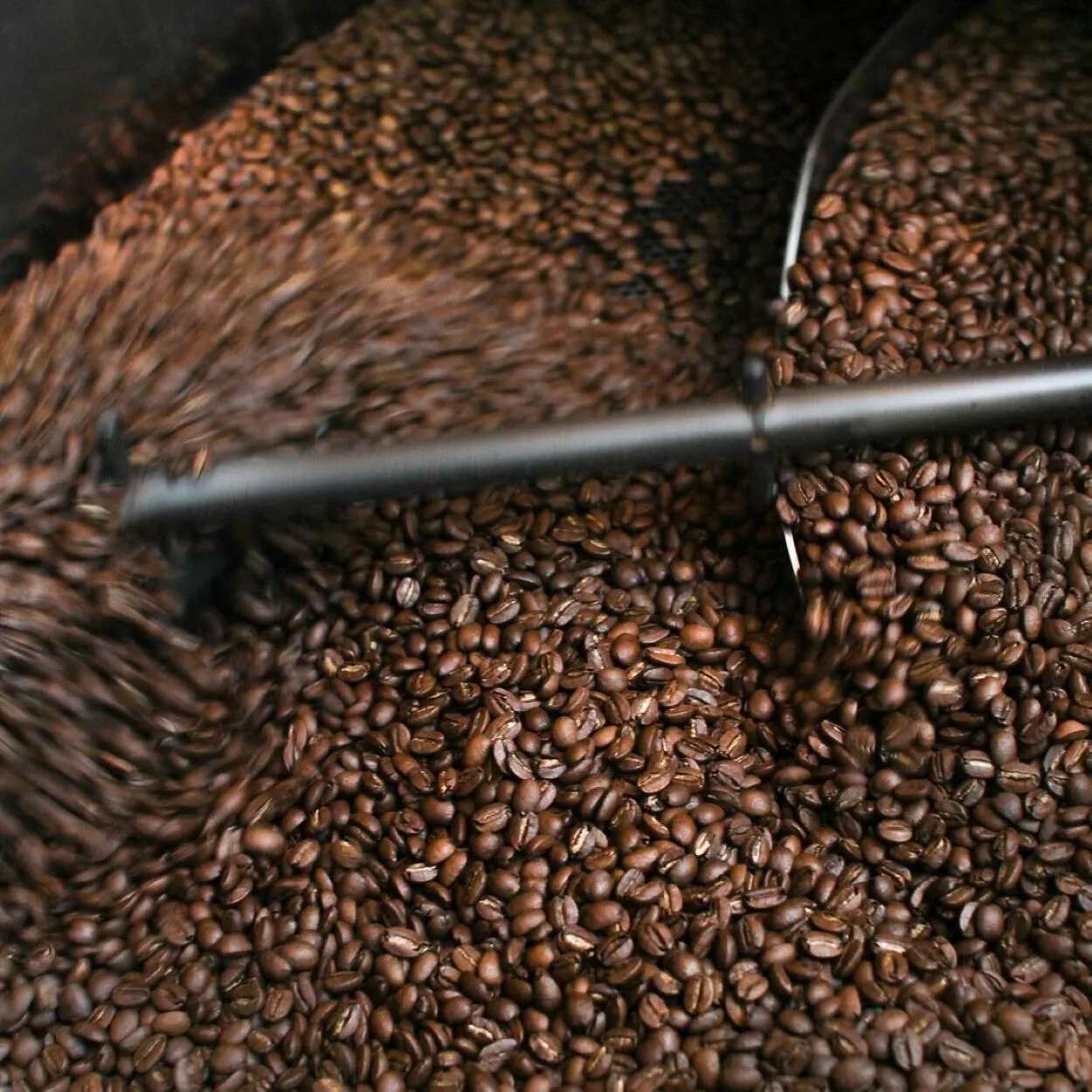 Blonde Espresso coffee beans